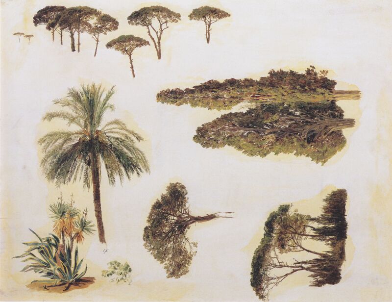 Tree studies from Rome), Ferdinand Georg Waldmüller, 1846