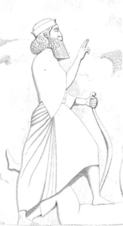 Darius, Pascal Coste