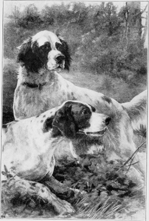 Modern breaking; a treatise on the rearing, breaking and handling of setters and pointers, embodying the methods employed by the most successful breakers and field trial handlers of the day (1906) (14781329874), Edmund Henry Osthaus