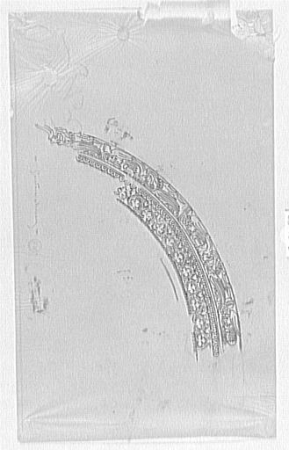 Study of a bow decorated with leaves and monsters after Willemin, for Jupiter and Semele, Gustave Moreau