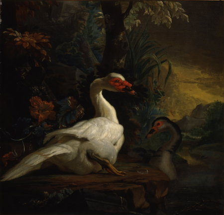 Exotic birds in a park-like environment, Abraham Busschop, 1718