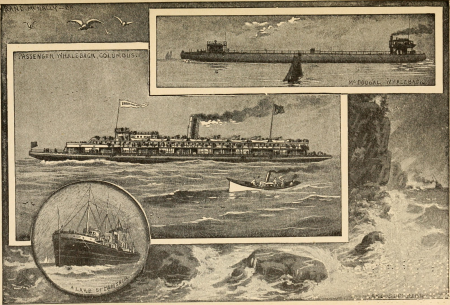 My native land - the United States- its wonders, its beauties, and its people; with descriptive notes, character sketches, folk lore, traditions, legends and history, for the amusement of the old and (14763913082), 1903