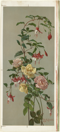 Roses and Fuchsia (Boston Public Library), George Cochran Lambdin