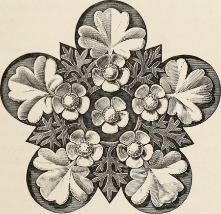 Art-studies from nature, as applied to design - for the use of architects, designers, and manufacturers (1872) (14593695357)