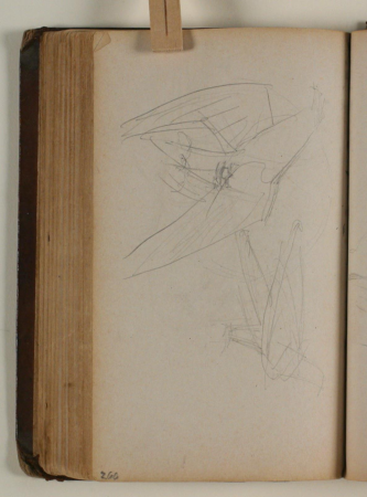 Studier af ørn, Niels Larsen Stevns