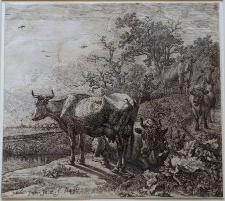 The Cowherd by Paulus Potter, Netherlands, 1649, etching on paper, fourth state of seven - Blanton Museum of Art - Austin, Texas - DSC08441, Paulus Potter