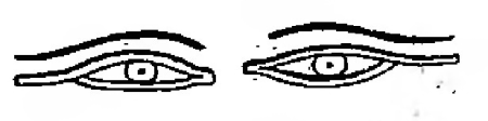 Egyptian Grammar, or General Principles of Egyptian Sacred Writing Applied to the Representation of the Spoken Language