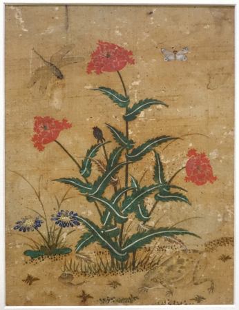 Thistle, Frog, Snail, Butterfly, and Dragonfly, attributed to Sin Saimdang, Korea, Choson, dynasty, early 1600s AD, album leaf, ink and colors on silk - Sackler Museum - Harvard University - DSC01675, Shin Saimdang