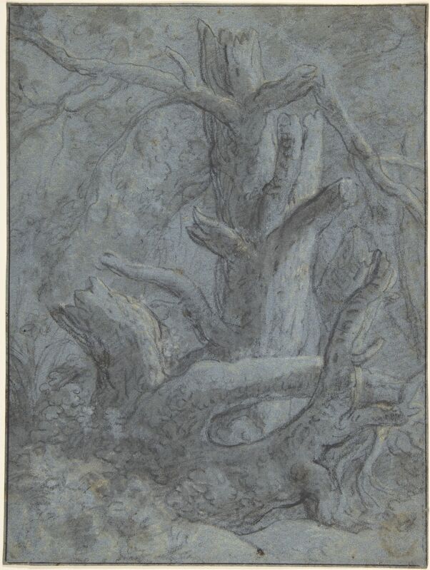 Study of a Blasted Tree Trunk and Branches, Simon de Vlieger, between 1600 and 1653
