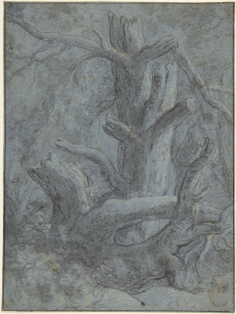 Study of a Blasted Tree Trunk and Branches, Simon de Vlieger, between 1600 and 1653