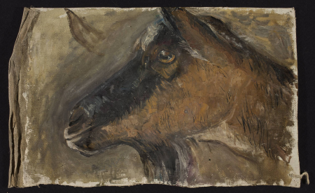 Study of a goat’s head, Tadeusz Makowski, circa 1919