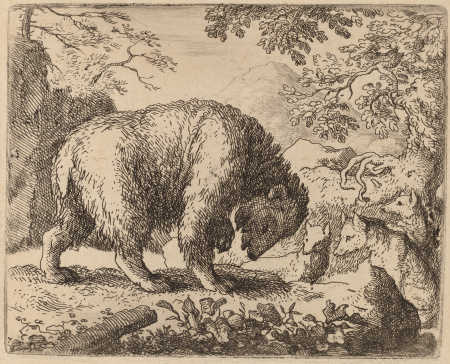The Bear Distracted with Talk of Honey, Allaert van Everdingen, probably c. 1645/1656