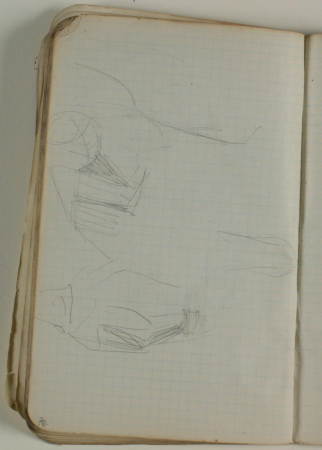 Løse rids, Niels Larsen Stevns