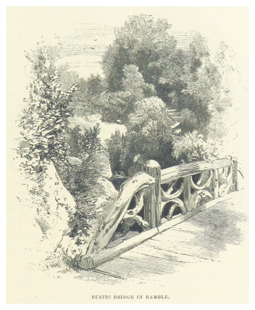 NYC-CentralPark (1869) p123 Rustic Bridge in Ramble, 1869