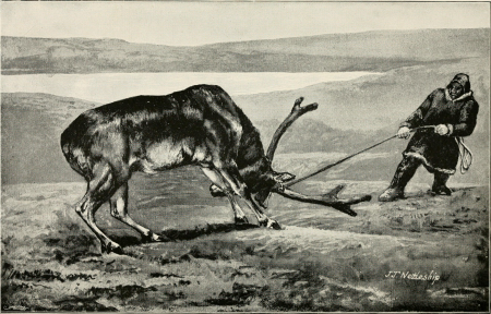 Ice-bound on Kolguev - a chapter in the exploration of Arctic Europe to which is added a record of the natural history of the island (1895) (14801806693), 1895