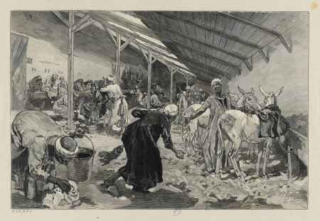 Exposition de 1889. La vue du Caire. G.20237