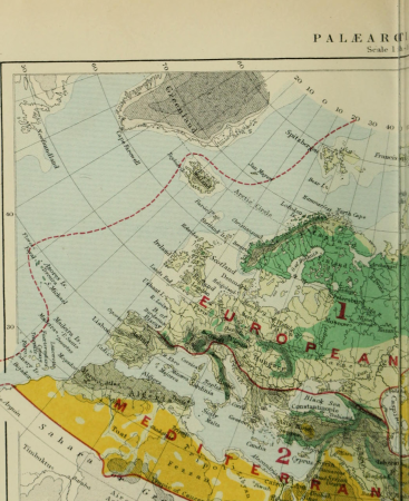 Geographical distribution of animals - with a study of the relations of living and extinct faunas as elucidating the past changes of the earth's surface (1876) (14784194882), 1876