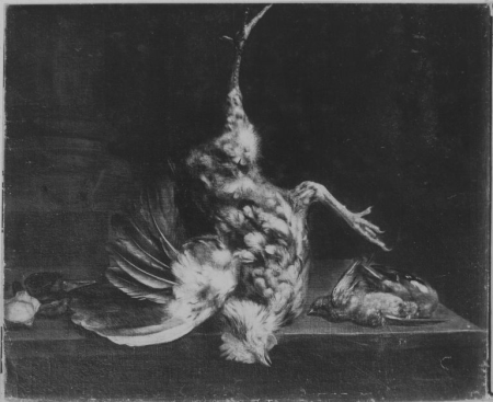 Stillleben mit totem Hahn, Adrianus van Ysselsteyn, between 1627 and 1684