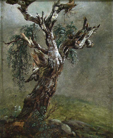 Study of a gnarled old Birch Tree, Johan Christian Dahl