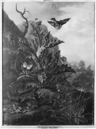 Still Life with Thistle and Animals, Jan Kašpar Hirschely, between 1695 and 1743