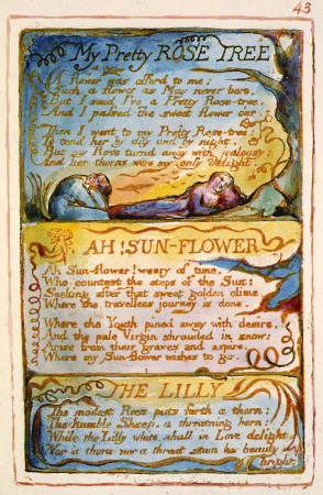 Songs of Innocence and of Experience, copy AA, 1826 (The Fitzwilliam Museum) object 43 My Pretty Rose Tree, William Blake