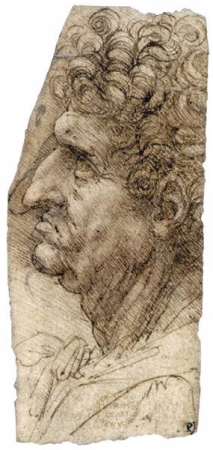 Head of a Man Facing to the Left, Leonardo da Vinci, between 1490 and 1494