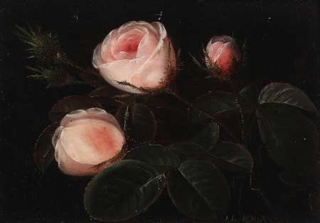 Three pink roses with black background., Johan Laurentz Jensen, between 1818 and 1856