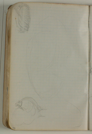 Skitser af hønsefugle, Niels Larsen Stevns