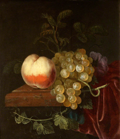 A Peach and Grapes on a Ledge, Jacob van Walscapelle, between 1664 and 1727
