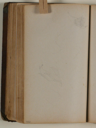 Studier af fugle, Niels Larsen Stevns