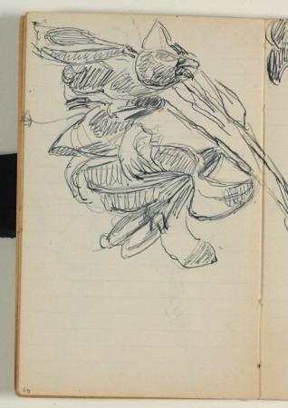 Blomsterstudier, Niels Larsen Stevns