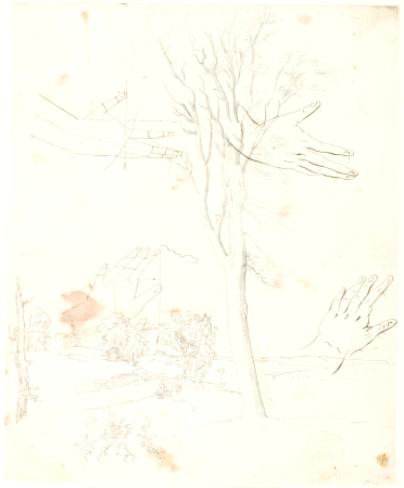 View of a landscape in the foreground a tall tree, Dankvart Dreyer