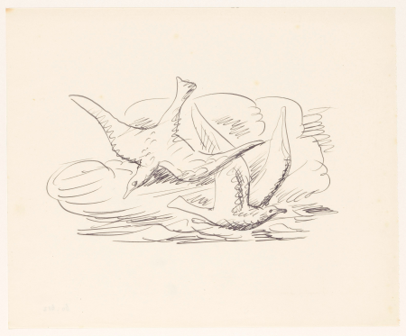 Schetsblad met twee zeemeeuwen, RP-T-1960-612, Leo Gestel, between 1891 and 1941