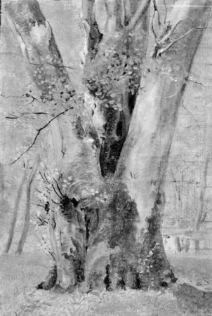 A Tree with Several Trunks, Lorenz Frølich, 1836