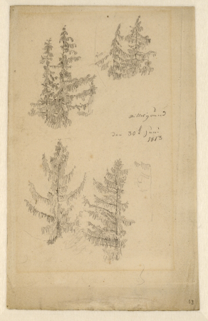 Studies of fir trees, Caspar David Friedrich, 1813