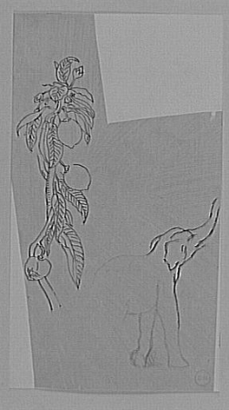 Studies of a fruit tree branch and an elephant, Gustave Moreau, between 1850 and 1895