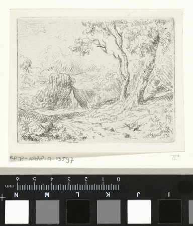 Landschap met twee bomen langs een pad, RP-P-1888-A-13597, Adrianus van Everdingen, between 1842 and 1912