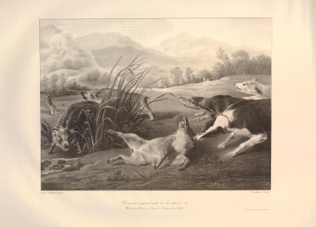 Print, Frans Snyders, 1826-1832 (circa)