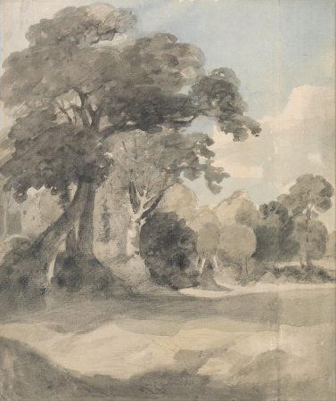 Trees in a Meadow, John Constable, circa 1805