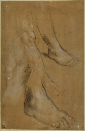 Barocci - Ausgestrecktes Bein, Detailstudien zu Fuß und Knie, obj02021489, Federico Barocci