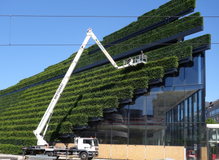 Kö-Bogen II, Erstes Scheren der Hainbuchenhecken (02)