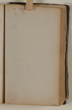 Studie af ørn, Niels Larsen Stevns