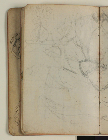 Plantestudie, Niels Larsen Stevns