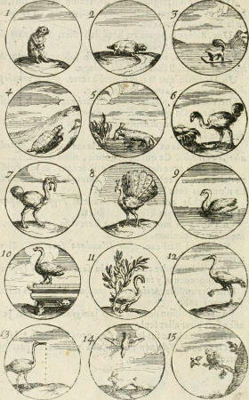 Livre curieux et utile pour les sçavans et artistes - composé de trois alphabets de chiffres simples, doubles and triples, fleuronnez et au premier trait - accompagné d'un tres grand nombre de (14766698573), 1685