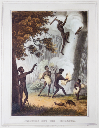 Smoking Out The Opossum - Edward Orme, 1813, Edward Orme