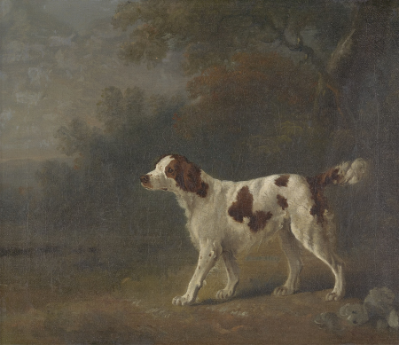 A Setter at the Edge of a Wood, Sawrey Gilpin, between 1775 and 1785