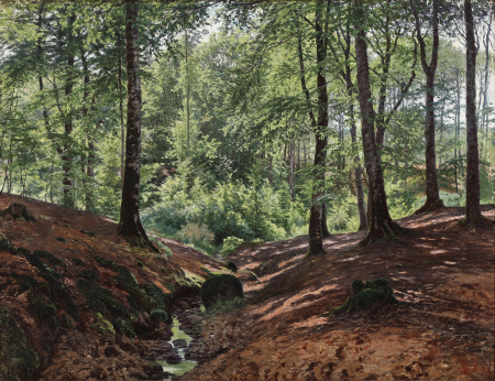 A clearing in the forest with a small stream., Anton Thiele, 1882