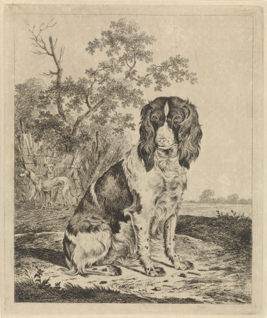 Zittende patrijshond, RP-P-1882-A-5754, Pieter Janson, between 1780 and 1851