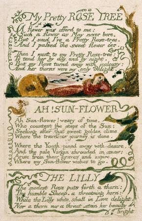 Songs of Innocence and of Experience, copy F object 47 My Pretty ROSE TREE, William Blake, 1794