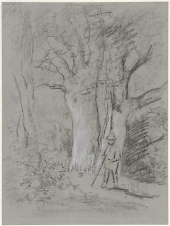 Man onder bomen in bos, RP-T-1941-30, Piet Meiners, between 1867 and 1903